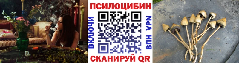 цены   Калуга  Псилоцибиновые грибы GOLDEN TEACHER 