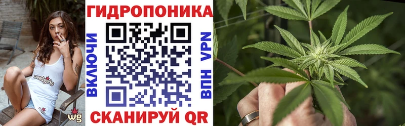наркошоп  Калуга  Каннабис планчик 